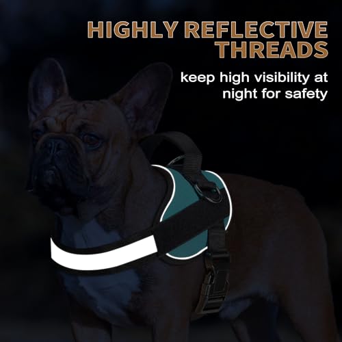 Essential Dog Harness (XS / Blue)