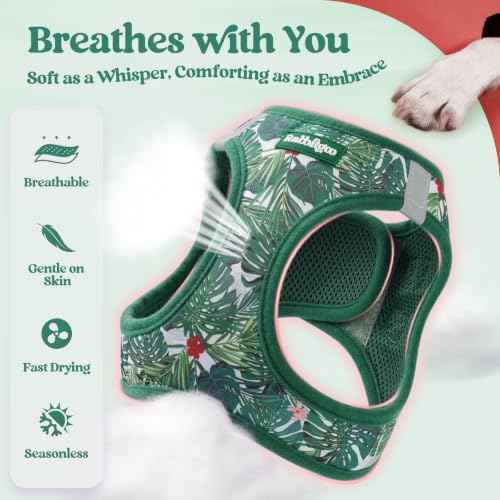 Dog Harness Small Sized and Leash Set (Rainforest Green / Xs (chest: 13.3 - 15.5"))