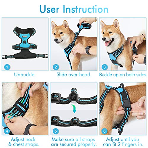 Dog Harness No Pull for Large Dogs with 2 Leash Clips (X-Large / Blue)