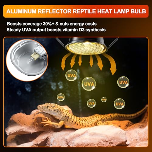 G9 Reptile Heat Lamp Bulb & Reptile Light Fixture with Safety Mesh Kit