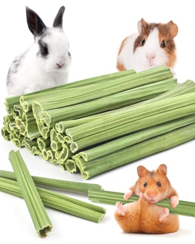35PCS Rabbit Chew Sticks (35 PCS)