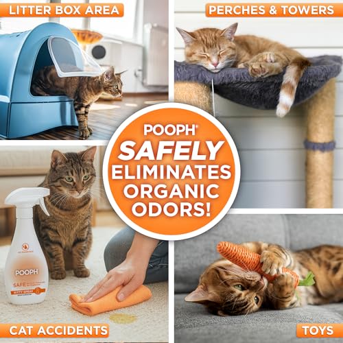 Kitty Odor Eliminator Spray for Cats (1 Count (Pack of 1))