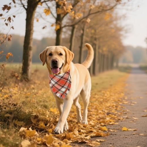 Fall Thanksgiving Dog Bandana (Large / Fall-2)