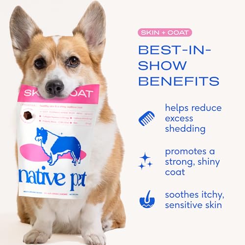 Skin & Coat Chews (60 Chews)
