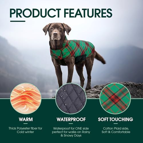 Waterproof Dog Coat (Christmas Green / Small (Pack of 1))