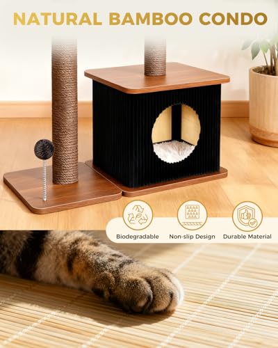 Small Cat Tree for Indoor Kittens (Walnut Finish / Medium)