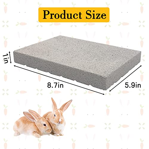 Rabbit Grinding Claw Pads Natural Hamster Lava Stone Teeth Grinder (White 1x Large)