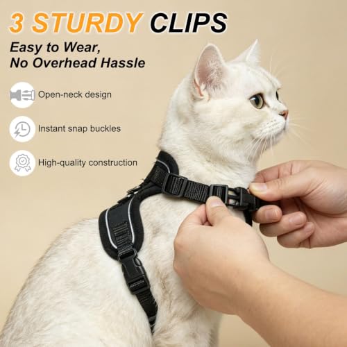 Cat Harness and Leash (Black Suit / Medium (Chest: 16 - 20"))