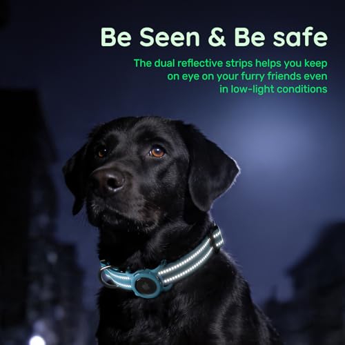 Airtag Dog Collar (Z: Blue / L: with Airtag Holder)