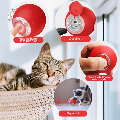 Smart Cat Ball Toy (B -Blue)