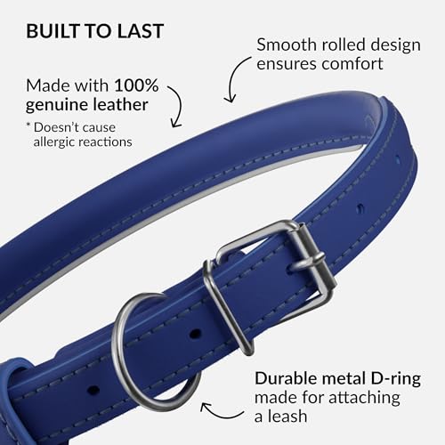 Tangle Free Reflective Leather Dog Collar (Deep Blue / L)