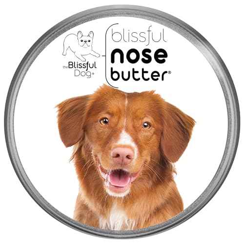 Nova Scotia Duck Tolling Retriever Unscented Nose Butter (Nova Scotia Duck Tolling Retriever / 2 Ounce)