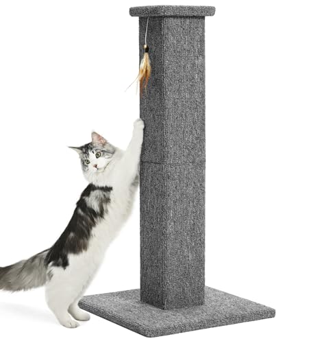 Made4Pets Cat Scratching Post for Indoor Cats (Grey-Carpet)