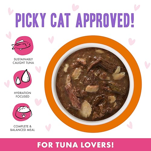 B.F.F. OMG Best Feline Friend Oh My Gravy! (3 Ounce (Pack of 12))