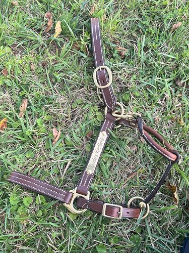 Leaders Leather Halter for Horses with Customized Engraved Name Plate Option Halter for Horse (Pony Size)