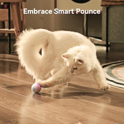 Interactive Cat Ball Toy (Apricot)