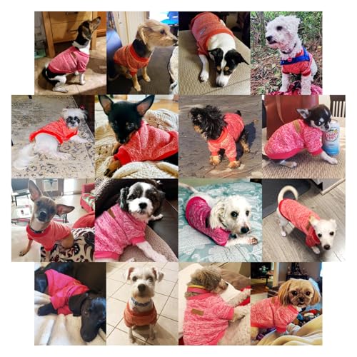 Dog Sweaters for Small Dogs (Red / XX-Small)