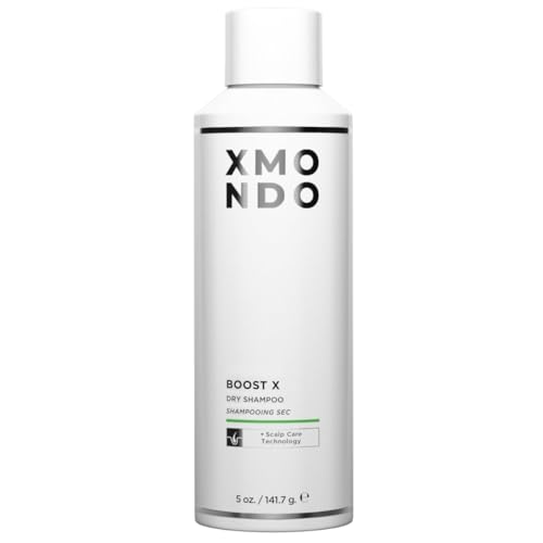Hair BOOST X Dry Shampoo