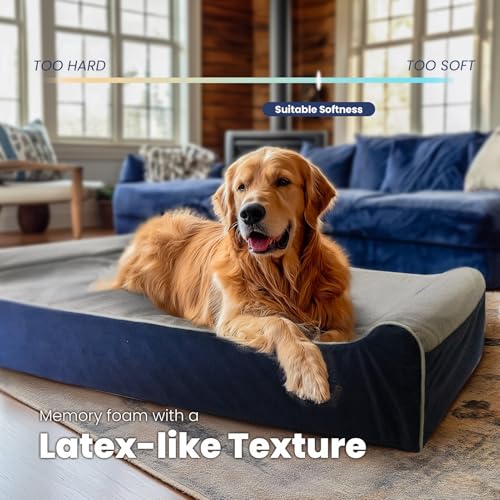 Orthopedic Dog Bed (50.0"L x 36.0"W x 10.0"Th / Slate Blue)