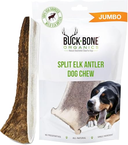 Dog Chews Elk Antlers for Dogs (1 Pack / Jumbo)