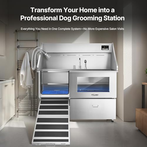 Dog Washing Station with Dryer (61")