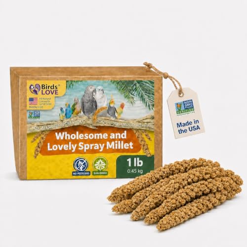 1 LB Wholesome Spray Millet for Birds (1 Pound (Pack of 1))