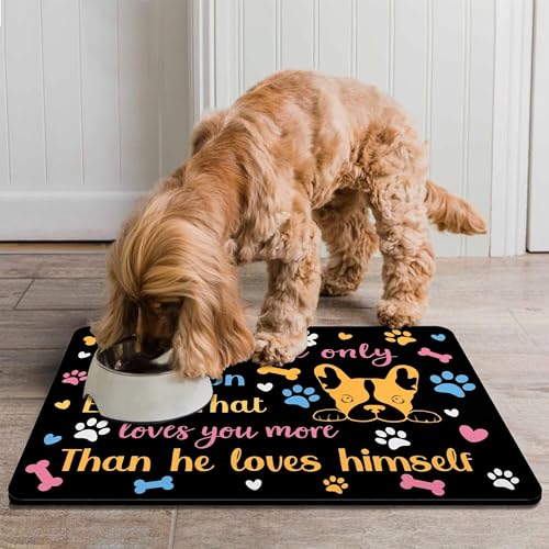 Pet Feeding Mat for Floors Waterproof Dog Mat for Food and Water Absorbent Quick Dry Non Slip mat for Cat Bowls (24"L x 16"W / Black)