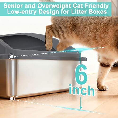 Stainless Steel Litter Box (Dark Grey / X-Large)