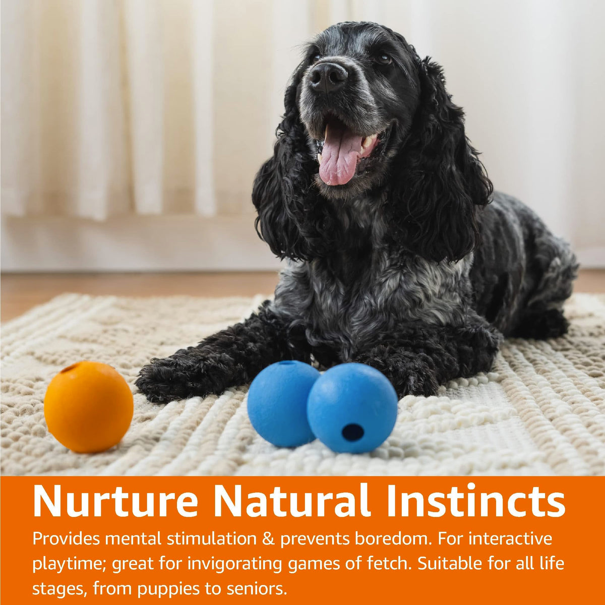 Interactive Bouncy Durable Rubber Dog Toy Balls (Fetch Balls (Pack of 3) / 2.5 inch)