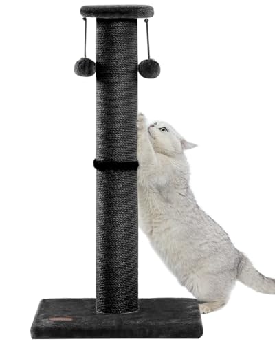 34Inch Tall Cat Scratching Post for Indoor Cats Adults (Black)