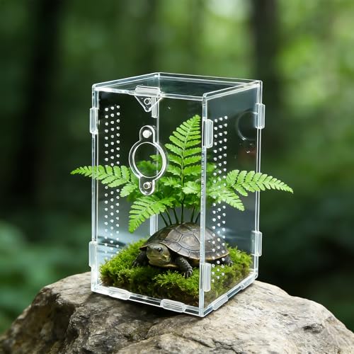 Acrylic Jumping Spider Enclosure (A2)