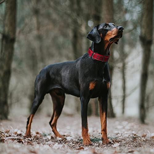 Heavy Duty Dog Collar for Large Dogs with Metal Belt Buckle (X-Large(24"-28") / Red)