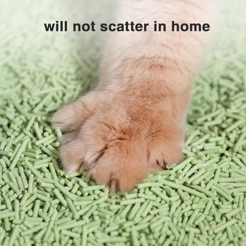 Dust Free Quickly Absorb Odors Natural Tofu Cat Litter 12LB