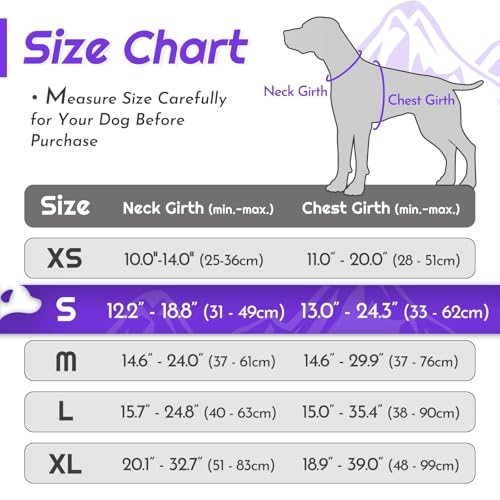 Dog Harness for Small Dogs (Small / Purple & Turquoise)