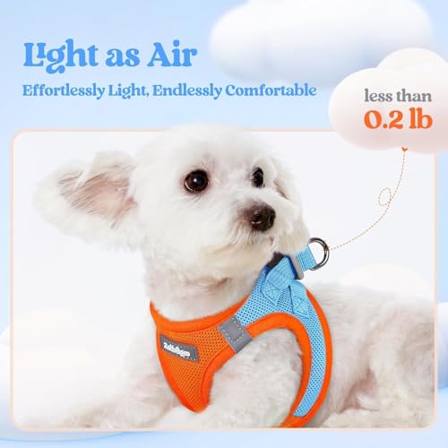 Dog Harness Small Sized and Leash Set (Blue & Orange / Xs (chest: 13.3 - 15.5"))