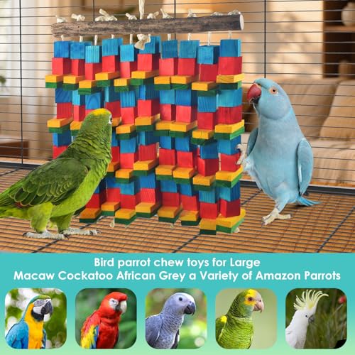 Extra Large Bird Toys (Extra Large 10 Strings)