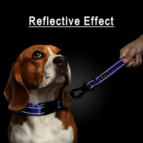 Short Dog Leash with Padded Handle for Medium Large Dogs (Royal Blue / 10 Inch (Pack of 1))