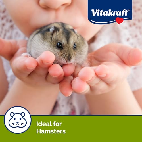 Drops Hamster Treat with Strawberry Flavor 5.3 oz (5.3 Ounce (Pack of 1))