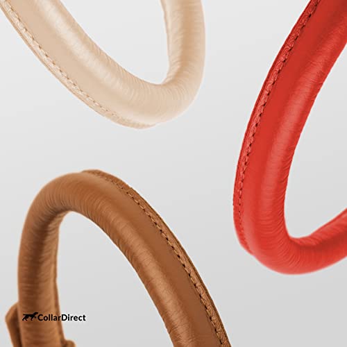 Tangle Free Rolled Leather Dog Collar