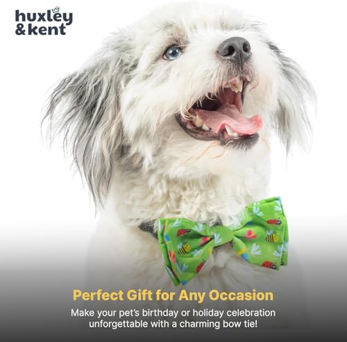 Pet Bow Tie for Dogs & Cats (Extra-Large)