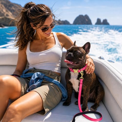 Soft Padded Dog Collar for Medium Dogs (Neon Pink / M：Fit 14-18" Neck, Width ¾")