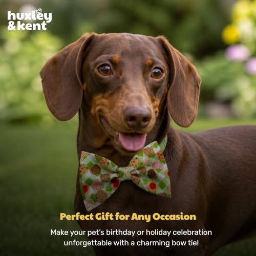 Pet Bow Tie for Dogs & Cats (Large)