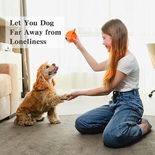 Dog Chew Toy with Ball