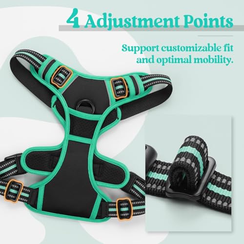 Dog Harness No Pull Medium Sized with 2 Leash Clips (Medium / Black & Turquoise)