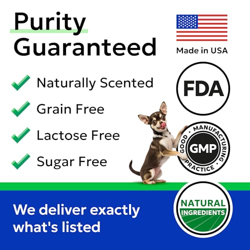 Pumpkin Powder for Dogs (Pumpkin Powder / 8.1 oz (Pack of 1))
