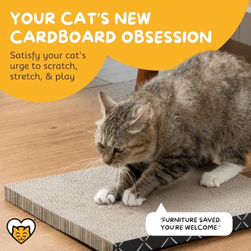 Cat Scratcher Refill Pads 2 Pack Double Sided Cardboard