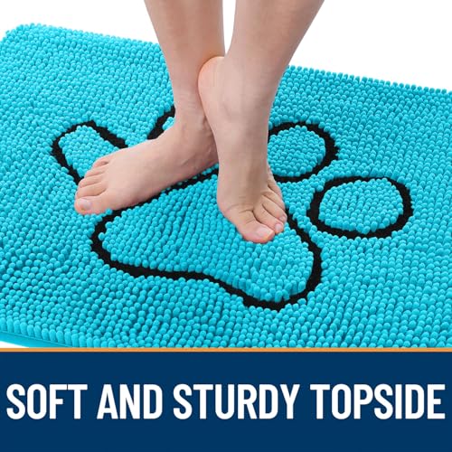 Dog Door Mat for Muddy Paws 36x24 (Aqua Blue / 36" X 24")