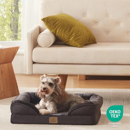Orthopedic Dog Bed (24.0"L x 18.0"W x 6.0"Th / Black)