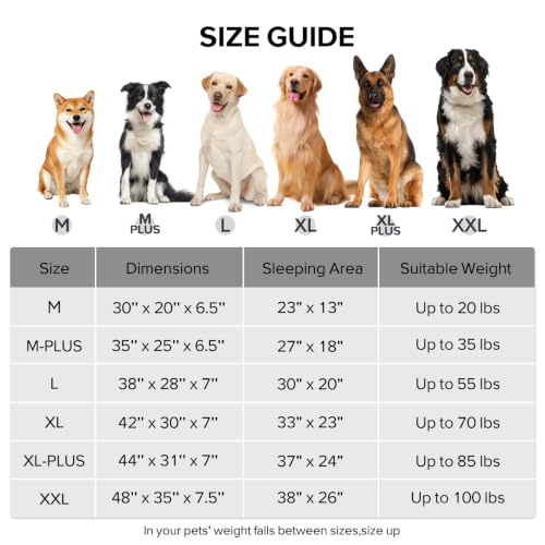 Orthopedic Dog Bed Extra Large Sized Dog (Grey / 48"L x 35"W x 7.5"T)