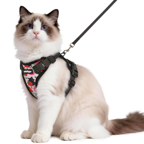 Cat Harness and Leash Set (M / Berry Pounce)
